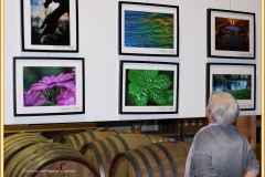 ferrin-cantine-aperte_1047_il-tramonto